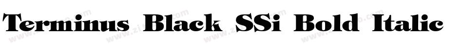 Terminus Black SSi Bold Italic字体转换